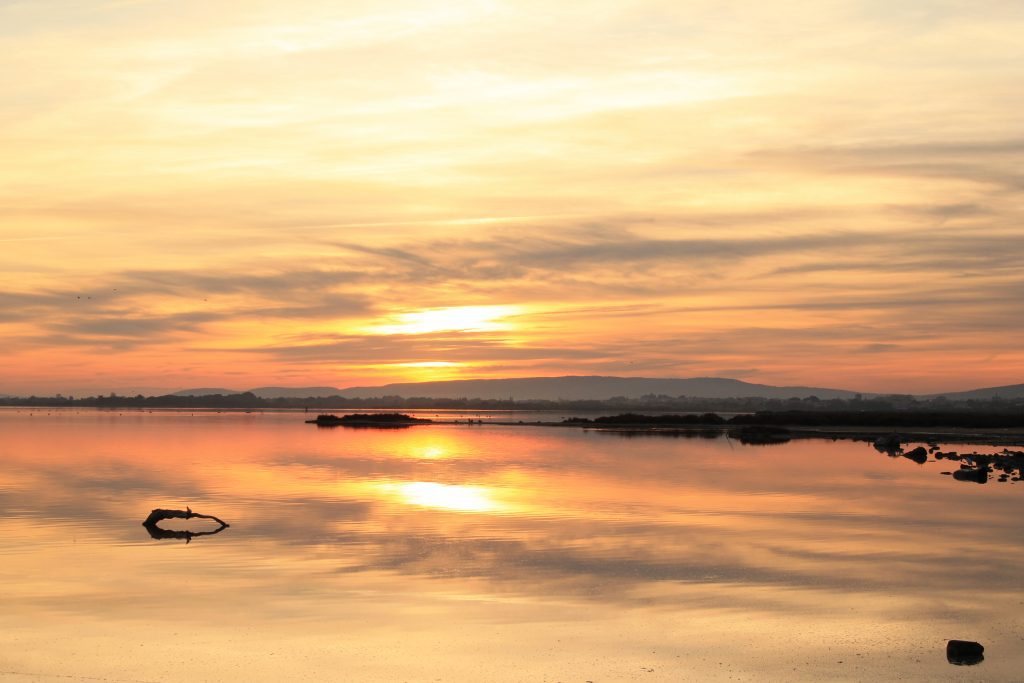 Etang de Thau